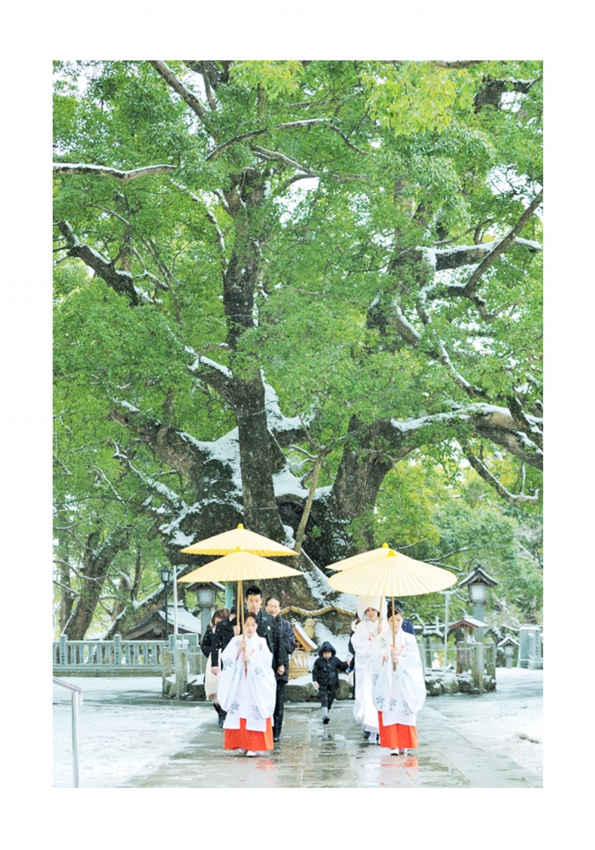 大麻彦神社 結婚式