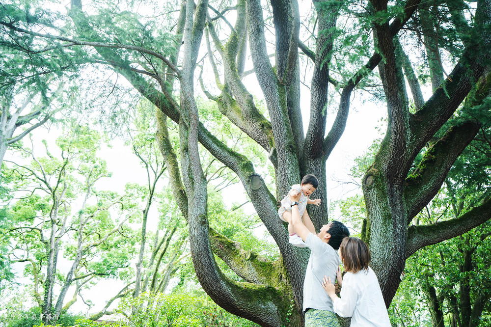 高い高い 子供写真