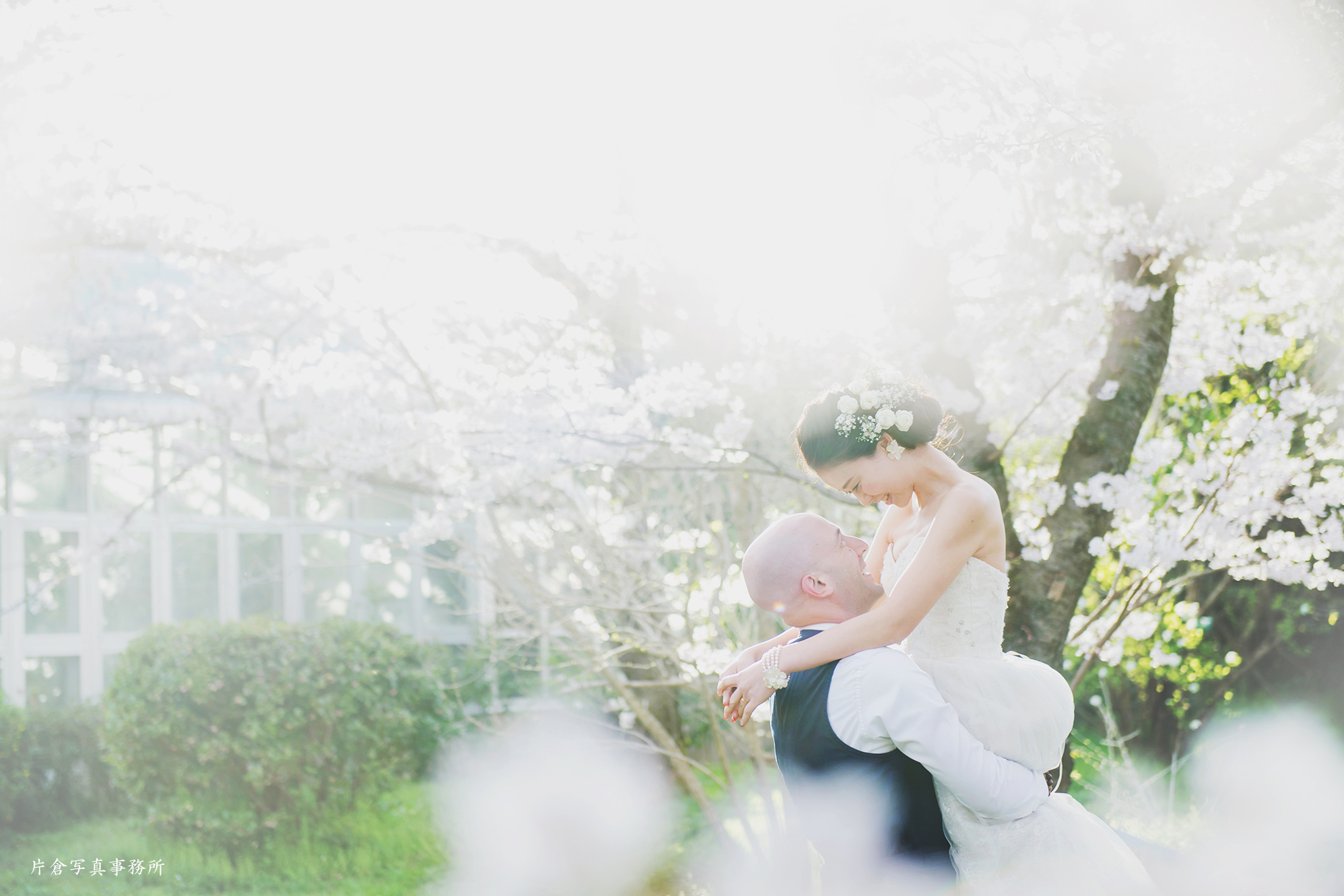 京都 桜 前撮り