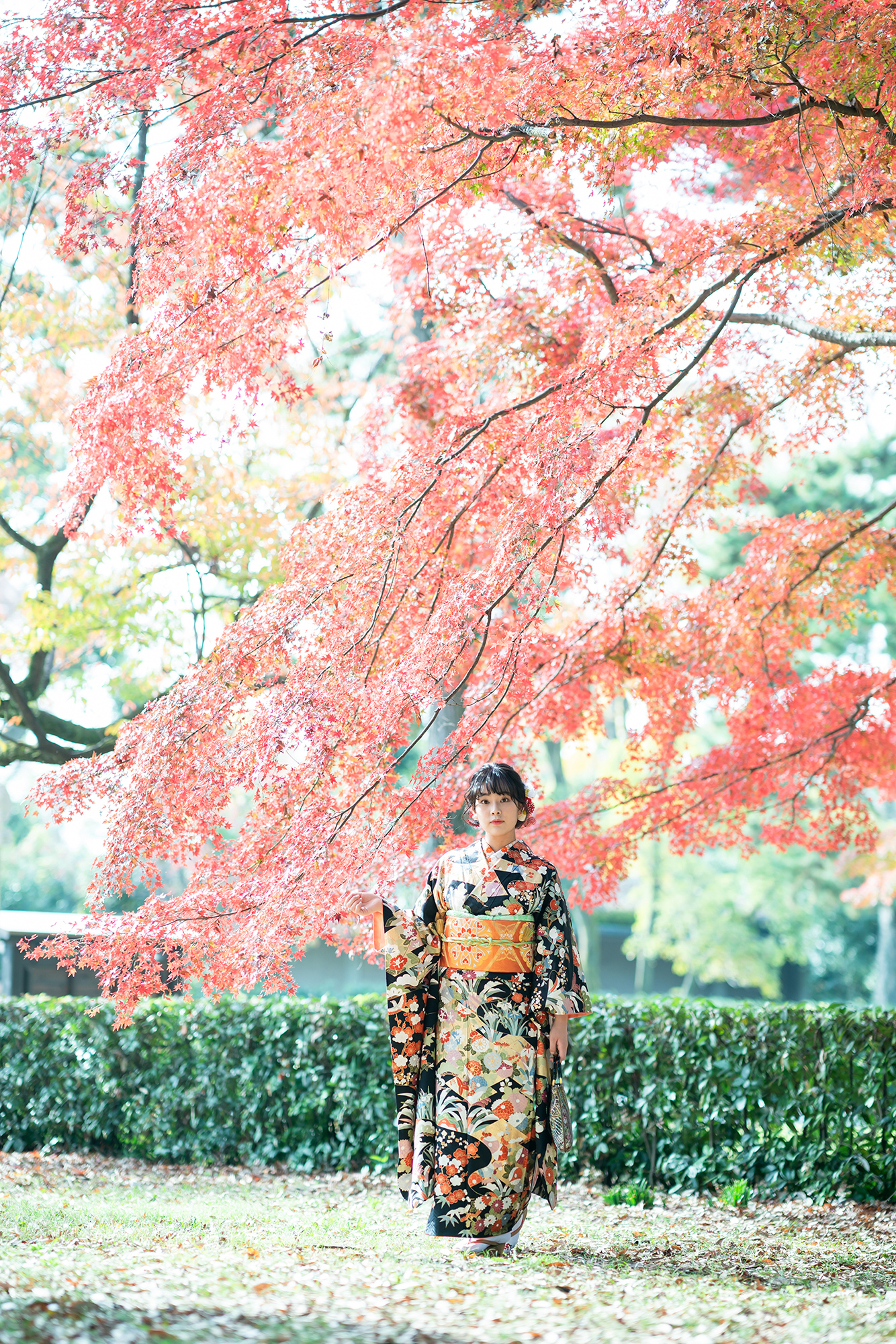 京都の紅葉　成人式前撮り　カメラマン　片倉写真事務所