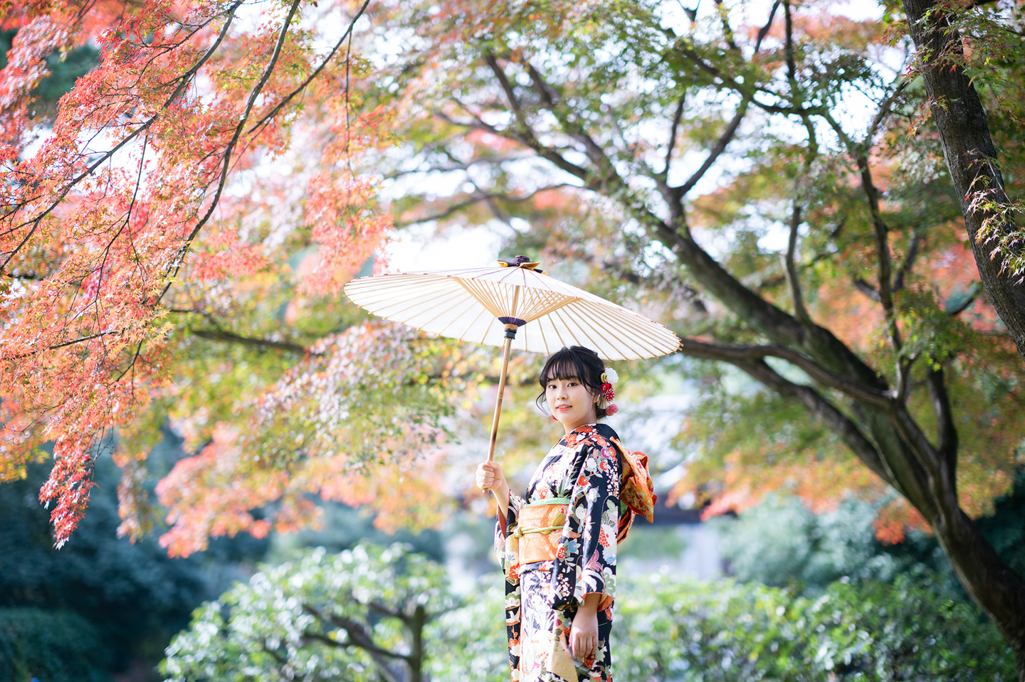 紅葉と和傘を使って成人式前撮り