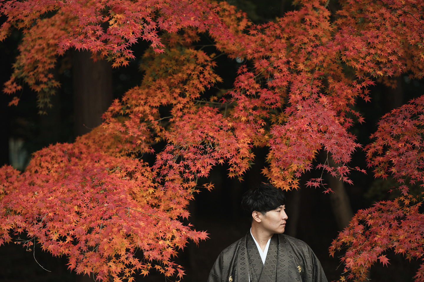 紅葉と新郎　大原野神社