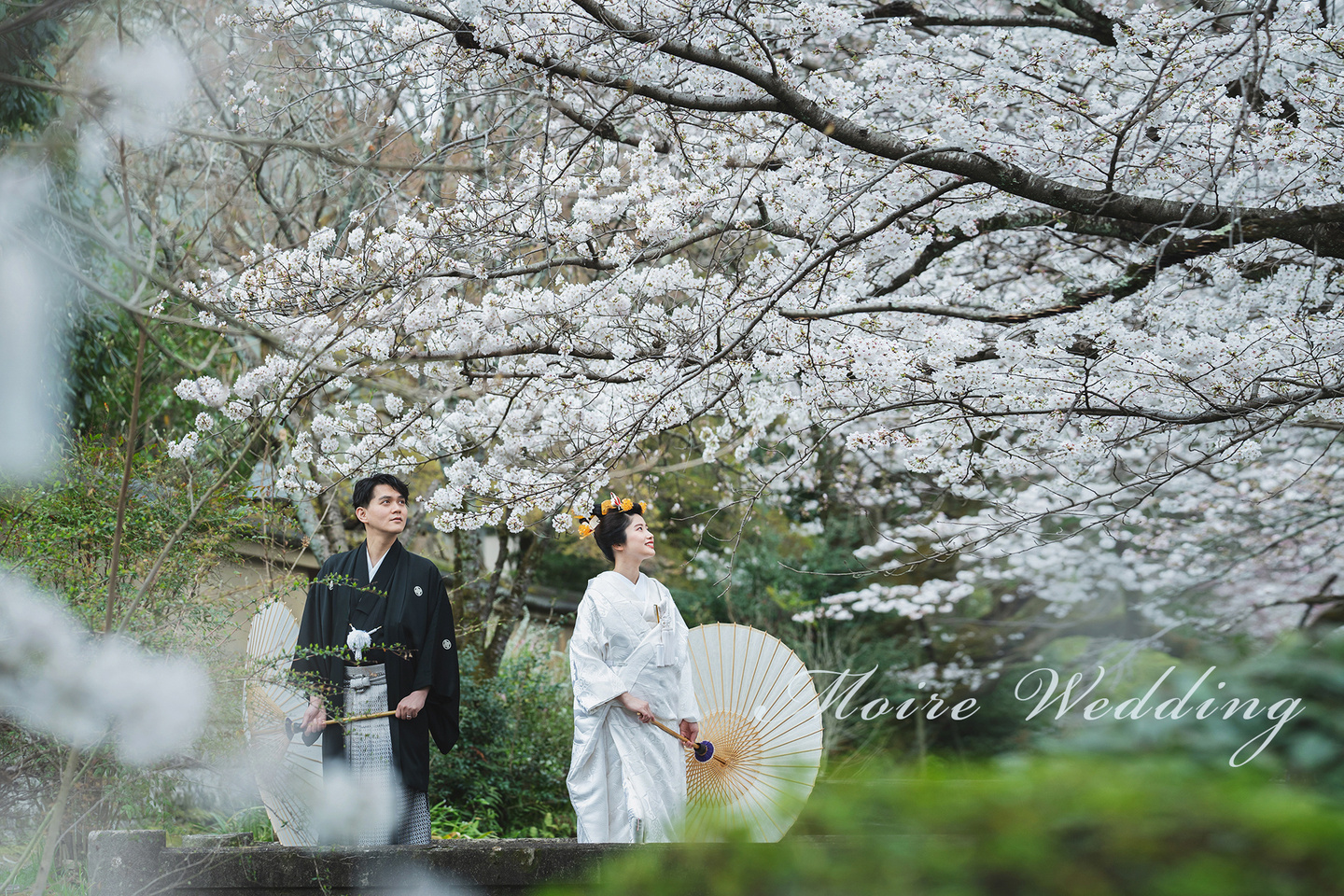 京都　哲学の道　和装前撮り　片倉写真事務所　