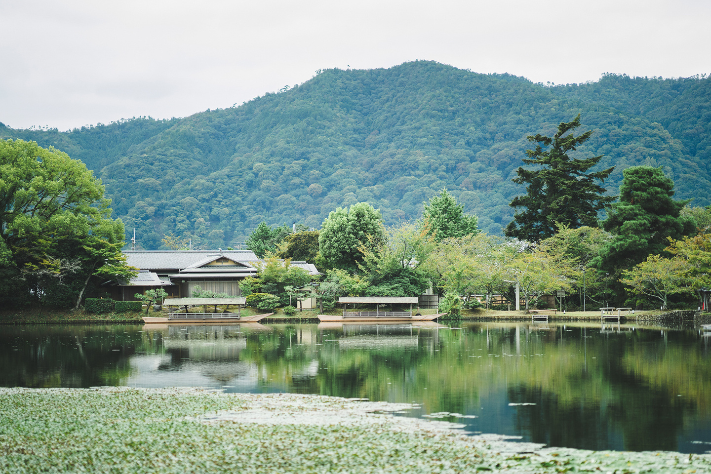 梅と花嫁　京都前撮り