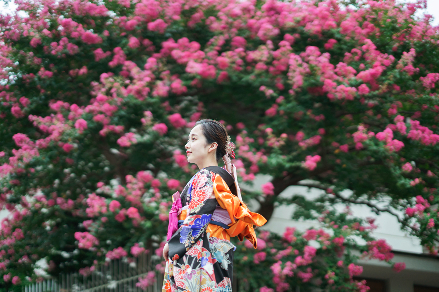 京都|豊田町|百日紅|さるすべりの花|花嫁|前撮り