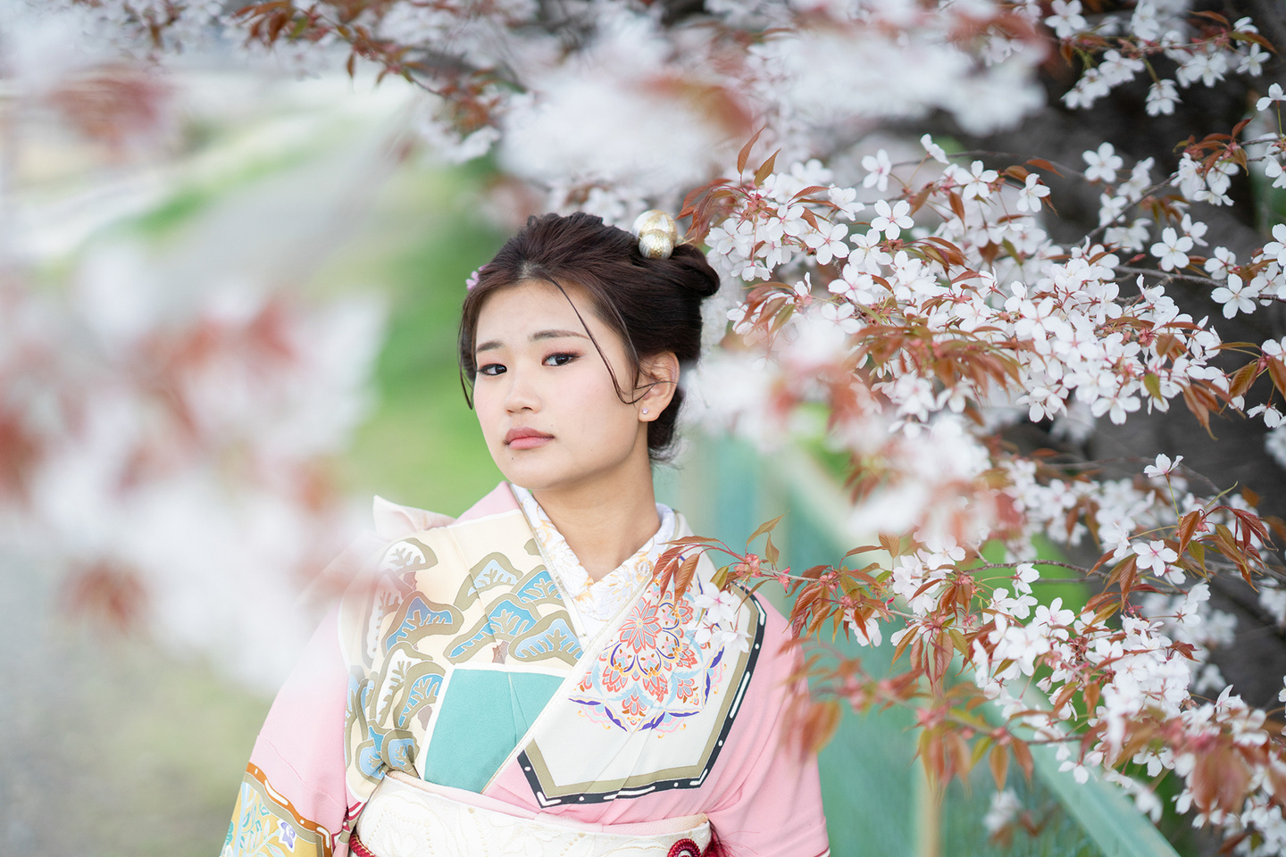 加茂川の桜で成人式前撮り｜片倉写真事務所