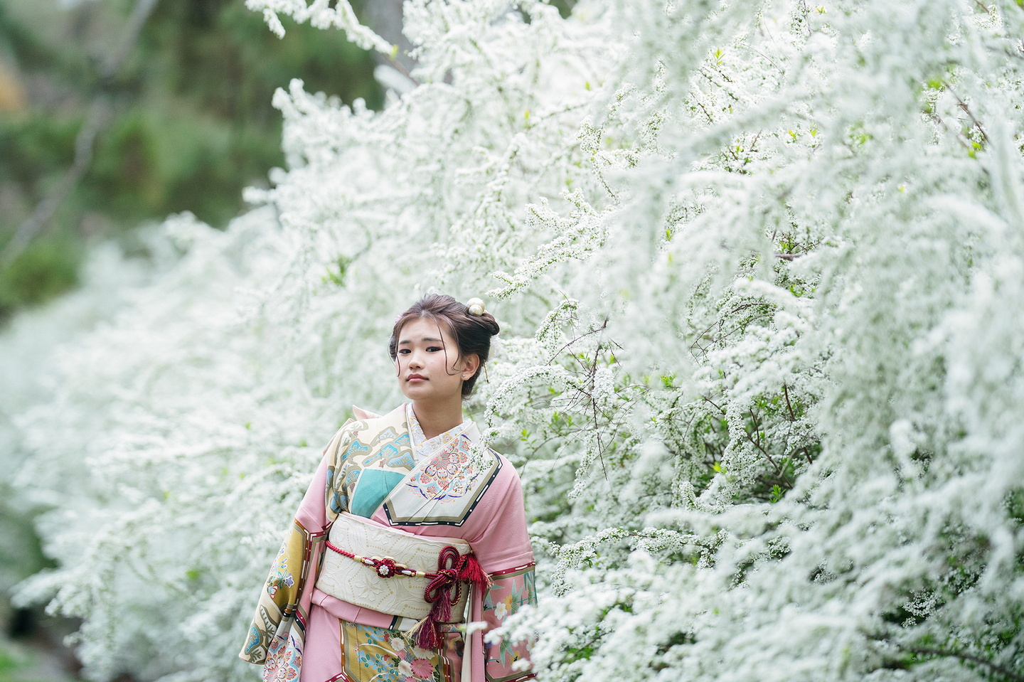 京都御所の雪柳の中で｜成人式ロケーションフォト