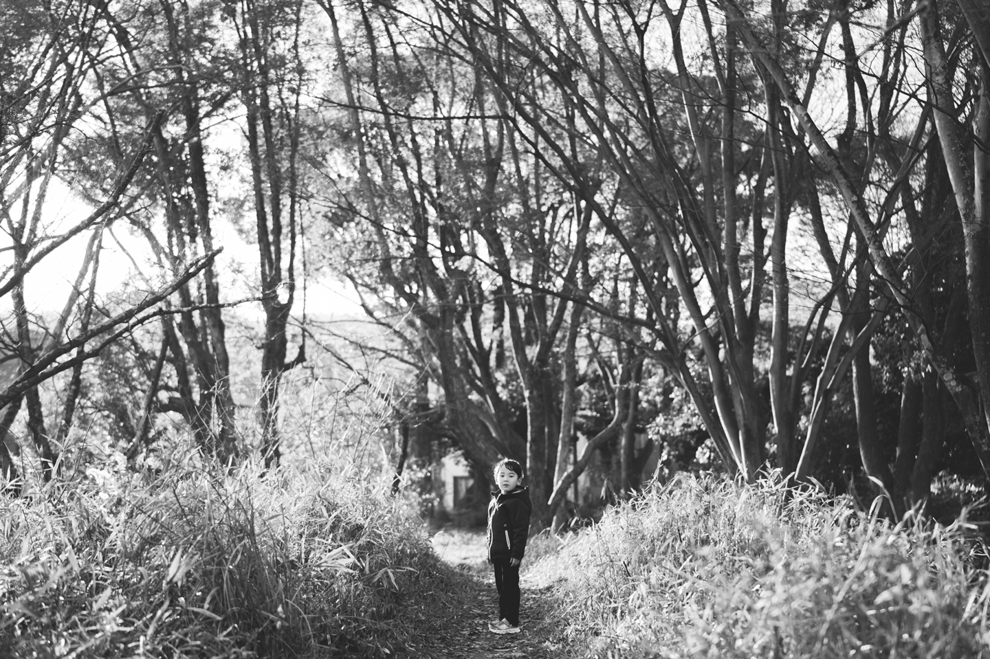 京都｜御土居と少年｜片倉写真事務所