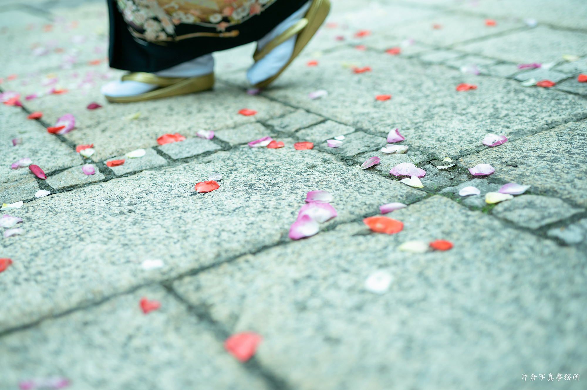 京都・大阪・神戸・結婚式カメラマン